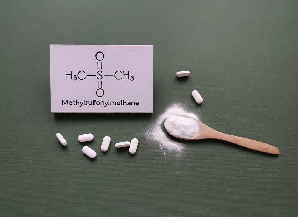 Was ist Methylsulfonylmethan? Christa's Blog